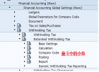 SAP Withholding Tax۴˰